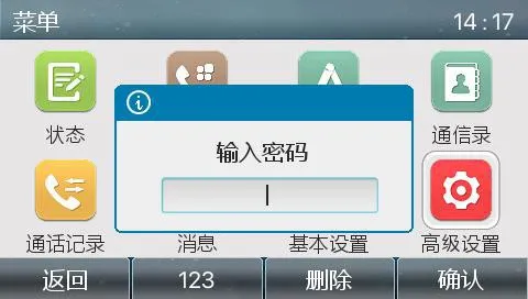 Phone advanced settings screen